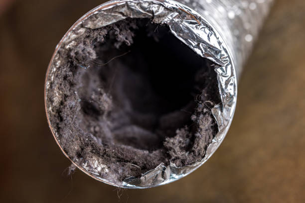 Best HVAC Duct Inspection Services  in Charlotte, NC